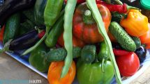 Export volumes of fruit and vegetables from Armenia growing