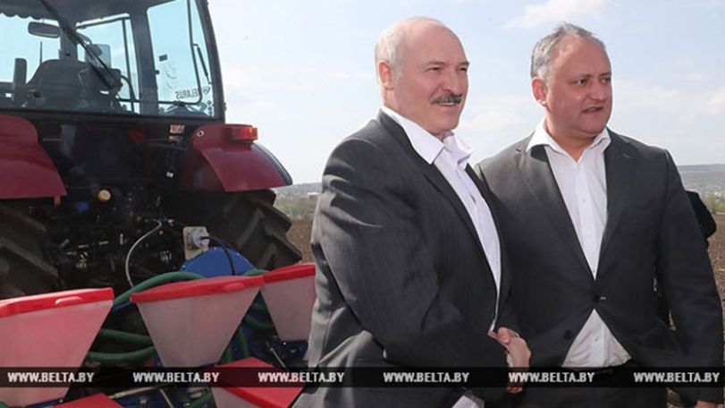 Президенты Беларуси и Молдовы на тракторах посадили новый урожай кукурузы
