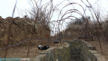 Foreigners detained when attempting to cross the Armenian-Azerbaijani border are Bangladeshi citizens