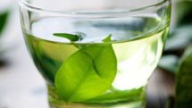 Green tea could helps scientists develop new cancer fighting drugs