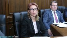 Мане Тандилян: Закон о накопительных пенсиях в Армении нуждается в доработке, все проблемы решаемы