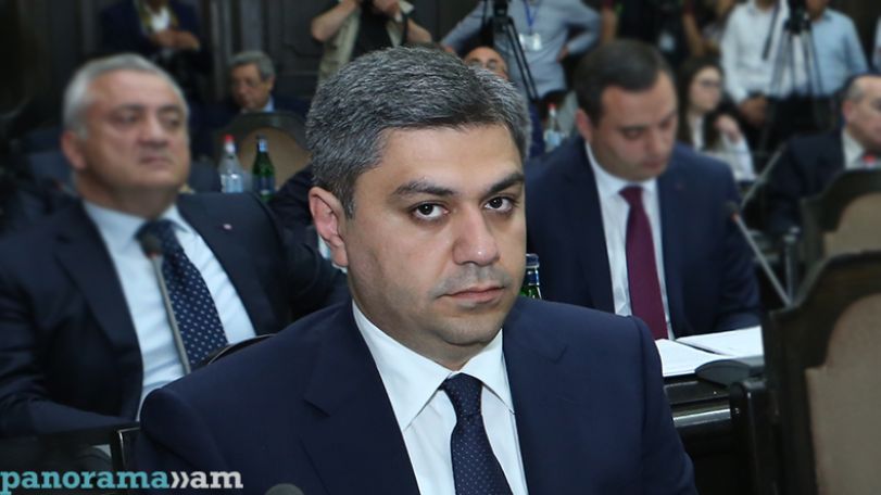 Глава СНБ Армении призвал экологов заняться животными из зоопарка задержанного генерала-депутата Манвела Григоряна