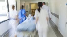 В Киргизии из-за сибирской язвы в больницу попали 13 человек