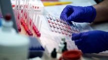 New mosquito-borne virus has reached France
