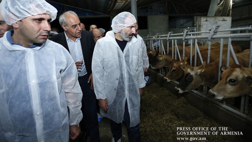 Փաշինյան. Հայաստանը պետք է միջազգային ասպարեզում ունենա էկո երկրի իմիջ