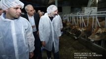 PM: Armenia should boast an image of eco country in international arena