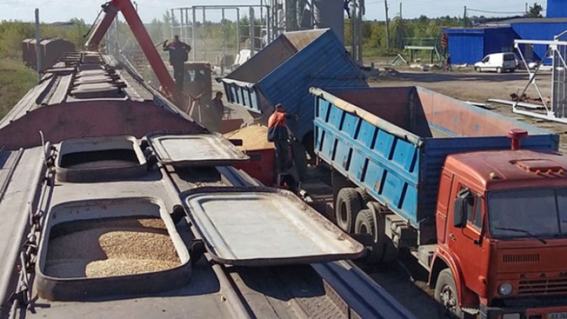В Грузии до 1 октября отсрочен запрет на импорт зерновых  грузов