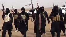 ‘Clear link between anti-ISIS military intervention and blowback at home’