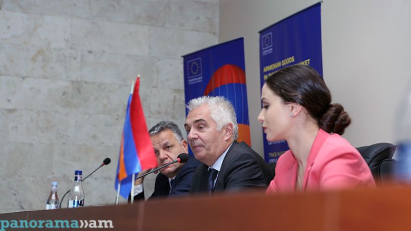 ԵՄ-ն Հայաստանի ամենամեծ արտահանման շուկան է. Սվիտալսկի