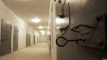 330 convicts, including 13 foreigners, released under amnesty