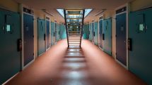438 people released under amnesty