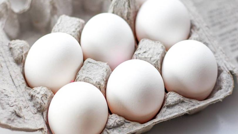 Armenia’s food safety service tightens control on imported eggs