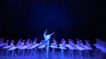 World's largest touring Swan Lake arrives in Berlin