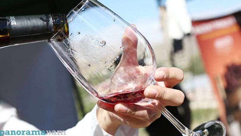 Export volumes of Armenian wine growing