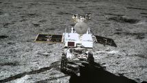 Первое в истории растение на Луне погибло