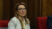 Депутат НС Армении Мане Тандилян: Необходимо проверять эффективность расходования общественных финансов