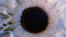'Artificial eye' to detect particles