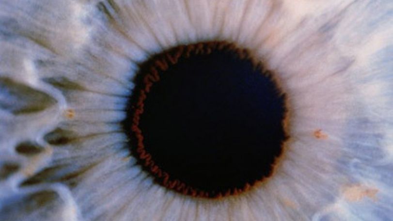 'Artificial eye' to detect particles