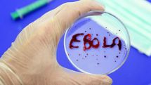 Ebola outbreak: Health team 'found dead' in Guinea