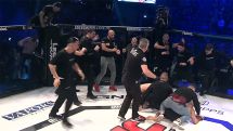 Скандалом и массовой дракой завершился Чемпионат Германии по ММА