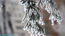 Active cyclone to bring snow, cold to Armenia