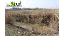 Նախկին ձկնաբուծական տարածքները համայնքներին վերադարձնելու խնդրանքով դիմել են Փաշինյանին