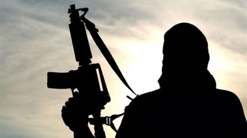 Sweden backs establishing int'l tribunal for ‘foreign ISIS fighters’