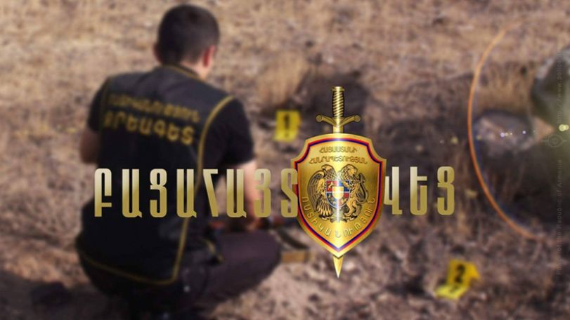 Մորթած հղի ձիու միսը  չեն հասցրել յուրացնել