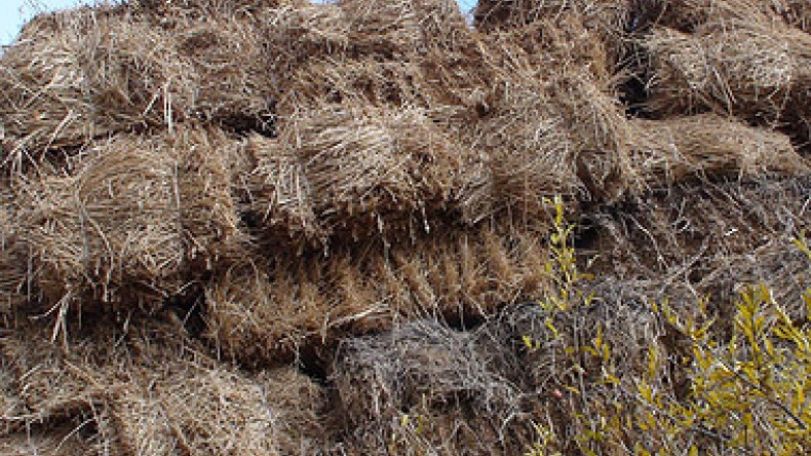 Գյուղացու աշունը. Խոտը քիչ է
