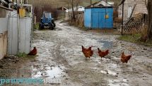 Կարևորը՝ քեֆ անողին քեֆ չպակսի