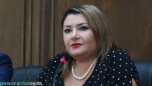 ԲՀԿ խմբակցության պատգամավորները խիստ ստուգումներում միտում չեն տեսնում