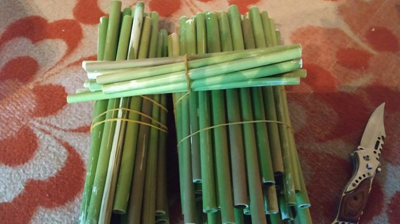 Resident of Armenia’s Kapan offers eco-friendly alternative to plastic straws