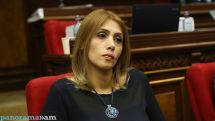 Էլինար Վարդանյան. Սվիտալսկին Հայաստանում լուծում է է իր երկրի տապալված ռեֆորմի վրե՞ժը
