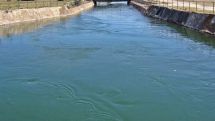 Сотрудники Полиции Армении обнаружили выбросившую в водоканал младенца мать