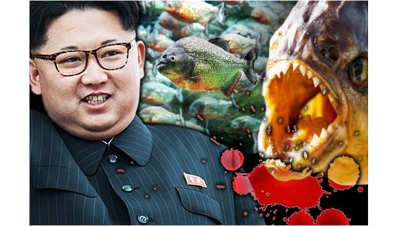 North Korea's Kim Jong-un executes general by throwing him in piranha-filled fish tank