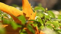 Temperatures to rise by 2-3 degrees