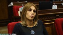 Էլինար Վարդանյան. Շղթայական տապալման պրոցեսով ենք գնում
