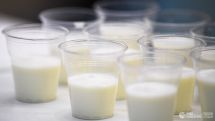 Milk, dairy products can help prevent chronic diseases: study