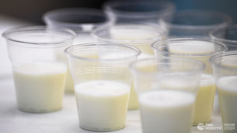Milk, dairy products can help prevent chronic diseases: study