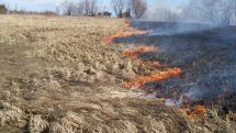 Risk of fires high across Armenia, MES warns