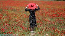 August 19 marks World Photography Day