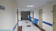 В армянском селе Геташен выявили случаи сибирской язвы