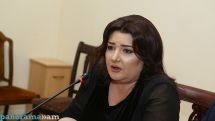 Ивета Тоноян: У нас есть конкретные оговорки по части формулировок в представляемом в КС Армении документе