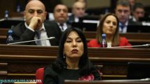 Armenian parliament passes bill to criminalize animal abuse