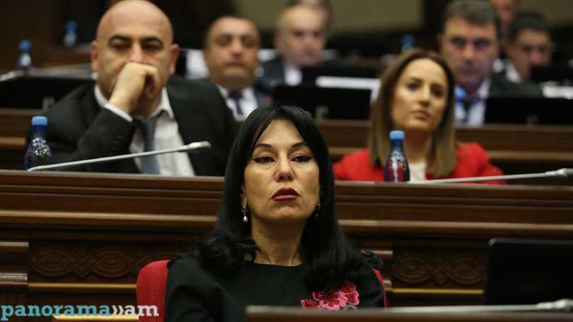 Armenian parliament passes bill to criminalize animal abuse