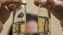 Over 10 people with dengue fever symptoms seek medical aid in Tokyo