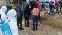 Ebola: Experimental drug ZMapp is '100% effective' in animal trials