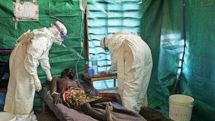 Human trial of experimental Ebola vaccine to start next week