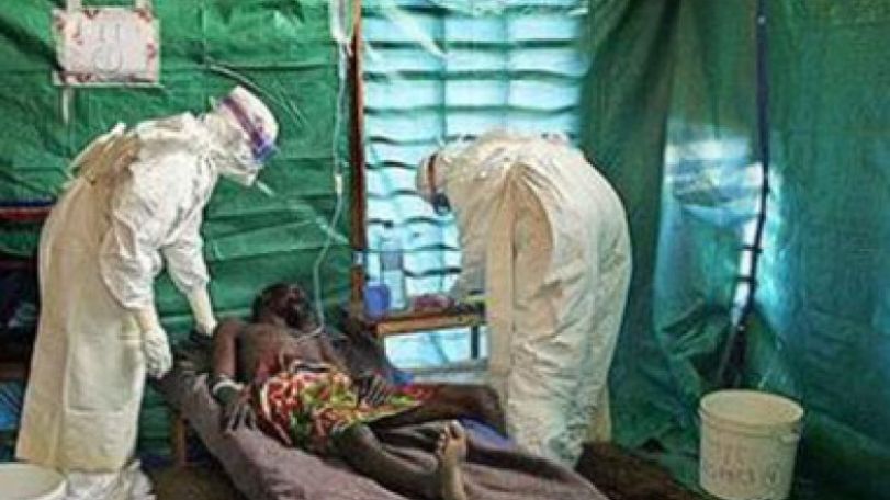 Human trial of experimental Ebola vaccine to start next week
