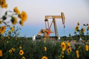 Oil prices rise as investors put hopes on China stimulus
